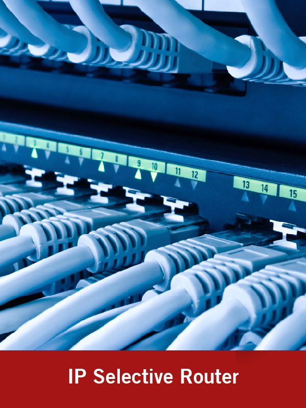 ip-selective-router.html